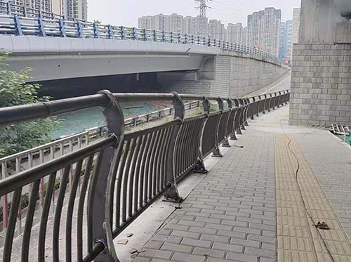 重庆五台山立交桥防撞栏杆应用实景